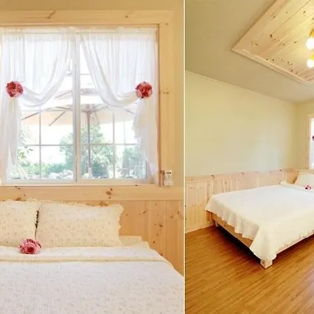 Sweetsalt Villa Seogwipo Exterior photo