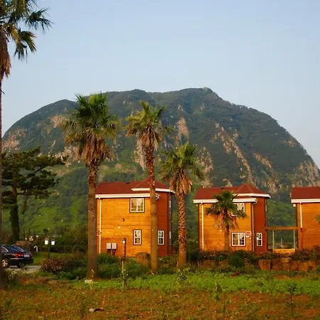 Sweetsalt Villa Seogwipo Exterior photo