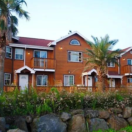 Sweetsalt Villa Seogwipo Exterior photo